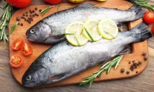 mrugasira karthi 2021 mrugasira karthi 2021