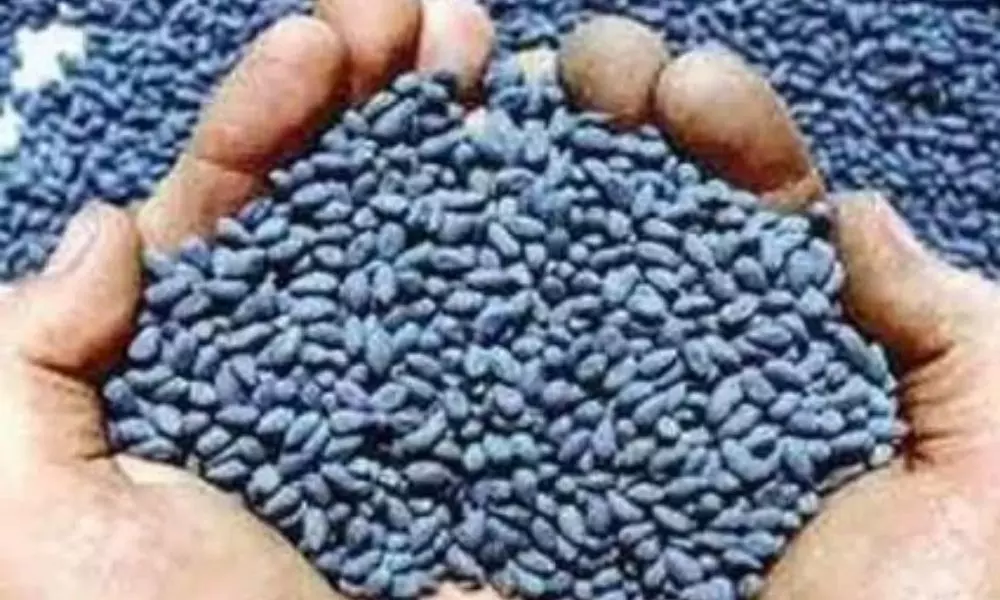 Fake Seeds Issue in Mahabubnagar District