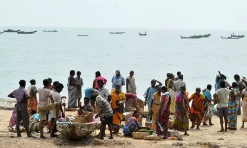 All Fishermen not Received YSR Matsyakara Bharosa