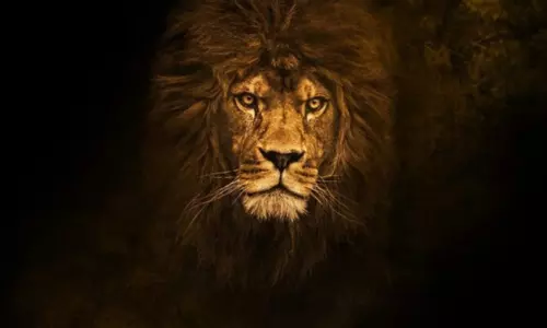 Nandamuri Balakrishna NBK 107 Movie With Director Gopichand Malineni and Released Teaser