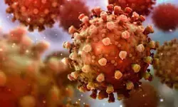 80,834 New Coronavirus Reported in India Today 13 06 2021