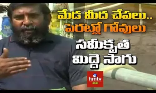 Integrated Terrace Gardening by Ravichandra Kumar