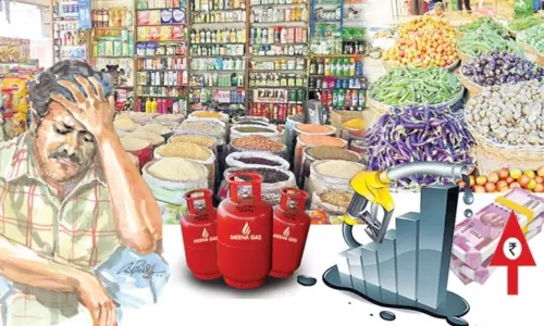 Grocerys Price are High During the Corona Situation Grocerys Price are High During the Corona Situation