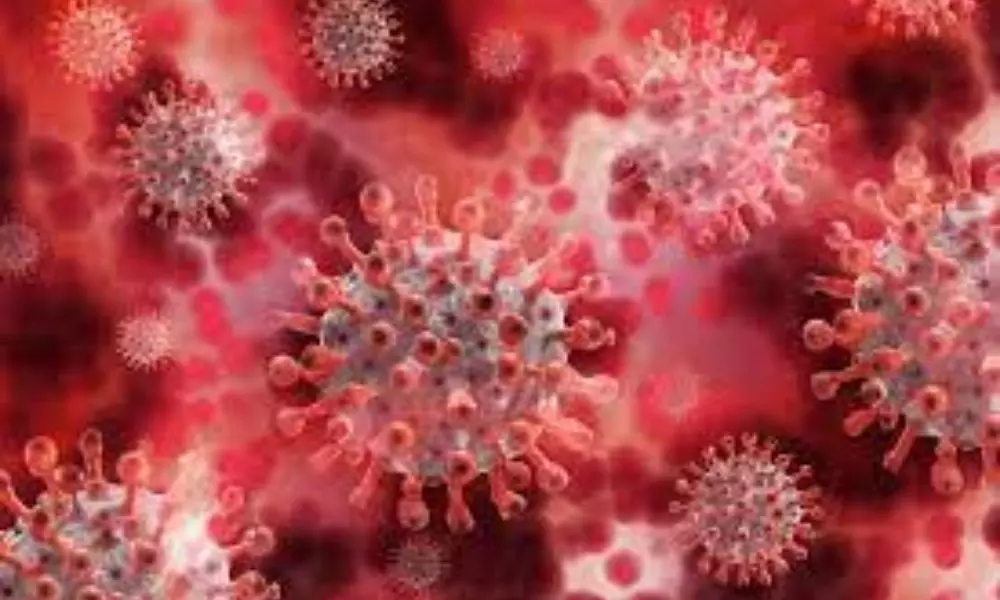 60,753 New Coronavirus Reported in India Today 19 06 2021