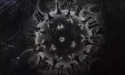 India Reports First Case of Black Fungus Infection in Lungs in covid 19 patient