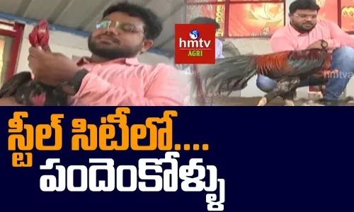 Organic Poultry Farming on Terrace in Visakhapatnam Organic Poultry Farming on Terrace in Visakhapatnam