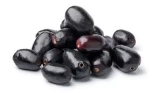 Health Benefits Jamun Seeds