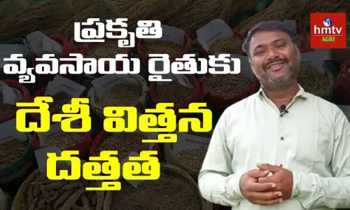 Domestic Seeds to be Distributed for Free Domestic Seeds to be Distributed for Free