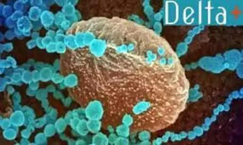 48 Delta Plus Cases Found in 11 states Says Central Health Ministry
