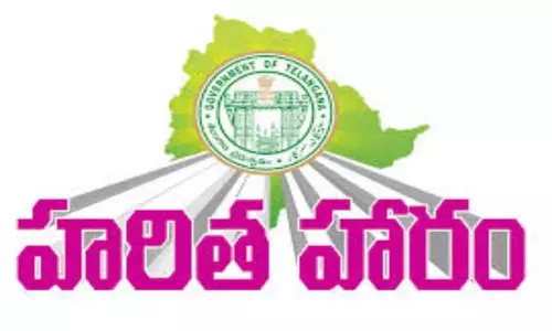 Everything is Ready for Haritha Haram in  Adilabad District