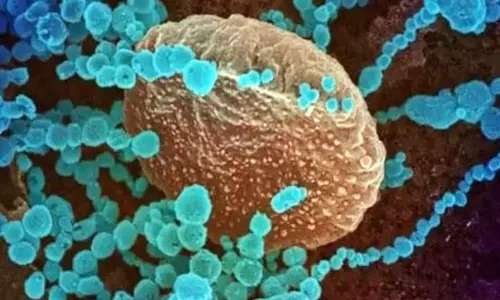 Delta Plus Variant Cases Founded in 14 Countries in World