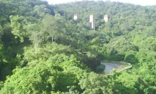 An Old Woman Missing in Nallamala Forest An Old Woman Missing in Nallamala Forest