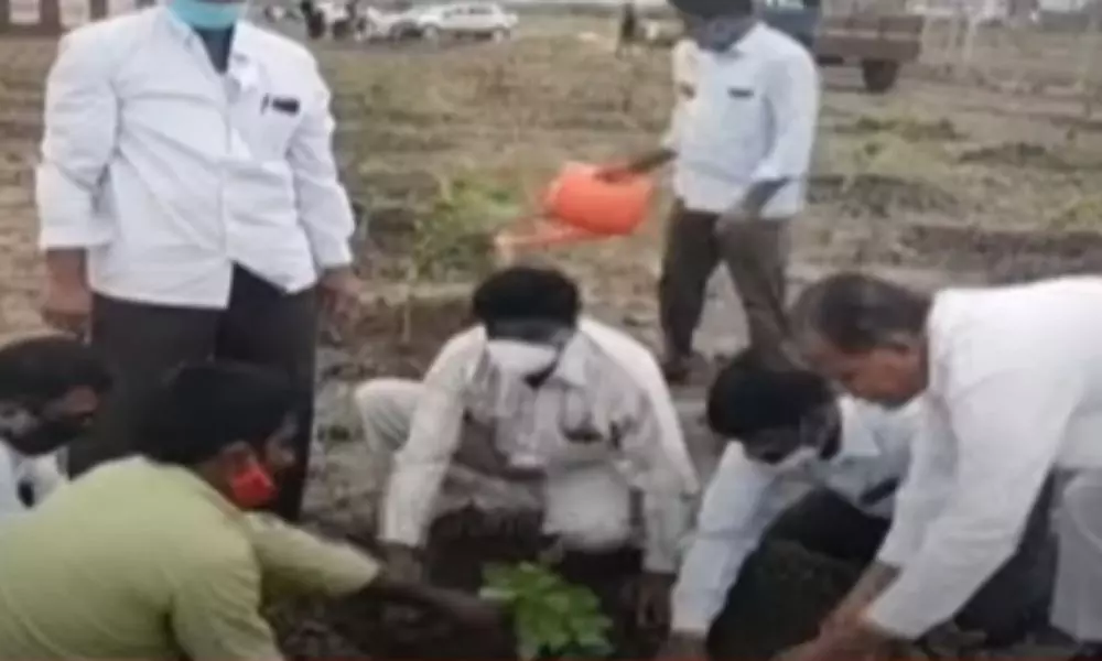 Villagers Planting Peace Plants in Tadipatri