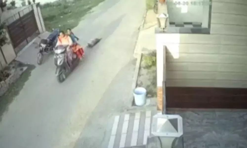 Two Patiala Women Tie Dog to Scooty, Dragged on Road