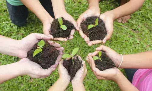 Haritha Haram Program in Telangana From Tomorrow