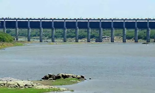 Babli Project Gates Opened From Today | Maharashtra Babli Project