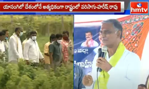 Palle Pragathi Progaram in Siddipet District Ksheerasagar