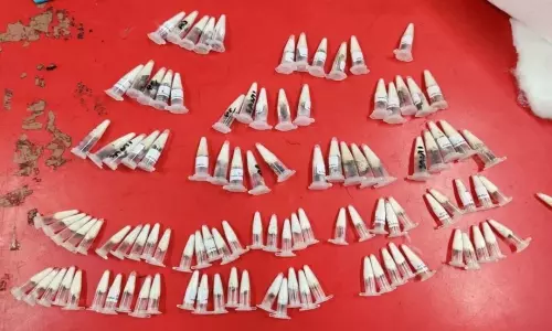 Illegal Smuggling of Spiders From Poland After Snakes and Cheetahs Will be Eye Catching