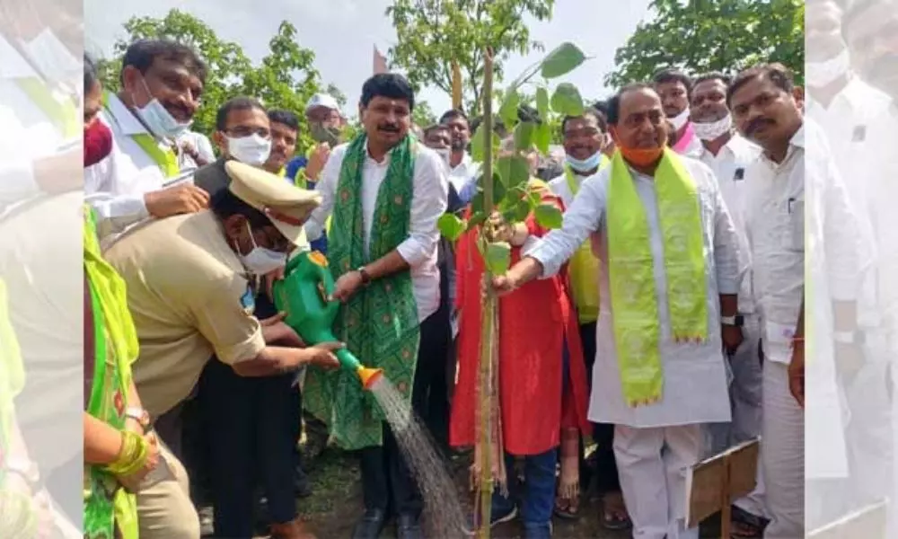 Adilabad World Record in Planting 3.5 lakh Plants in 1Hour