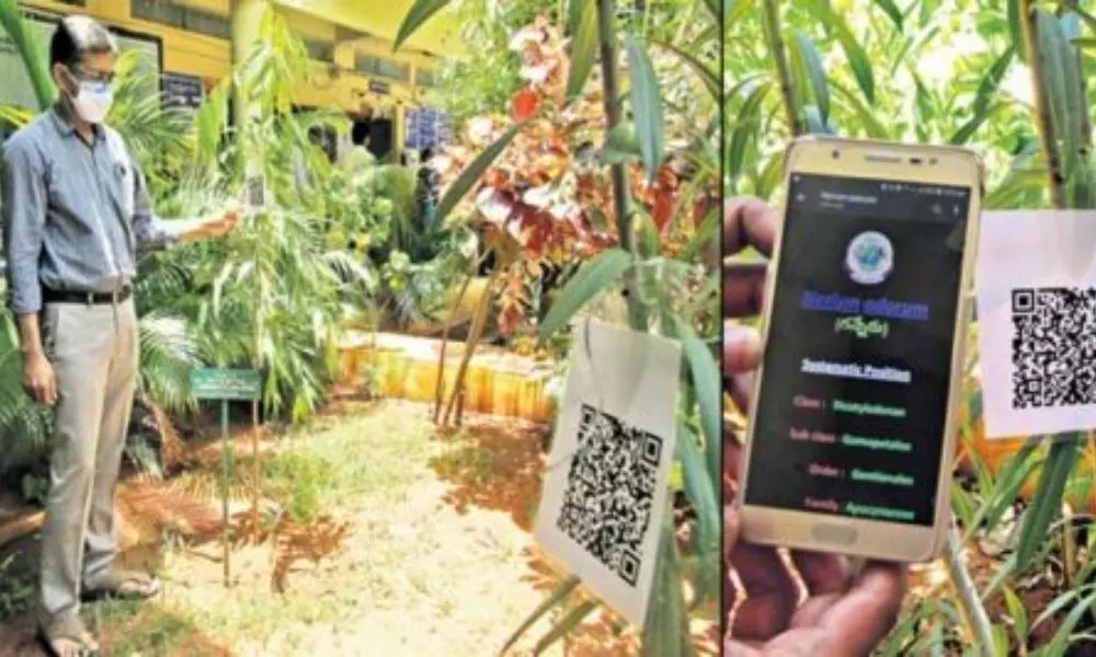 Botany Professors Arranged the Qr Code to Plants in Warangal District