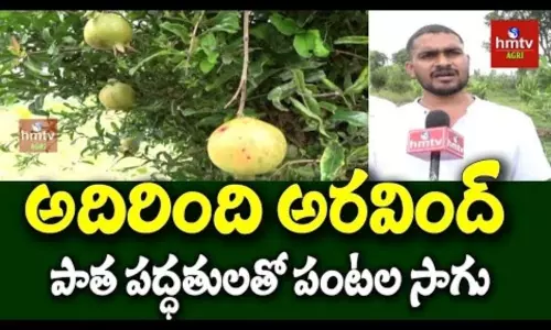 Natural Farming By Aravind