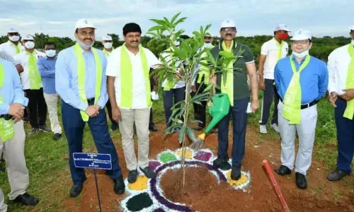 Green India Challenge at IITA Campus in Moinabad