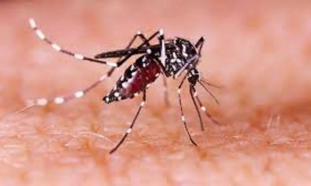 Kerala Confirms 15 Cases of Zika Virus so far