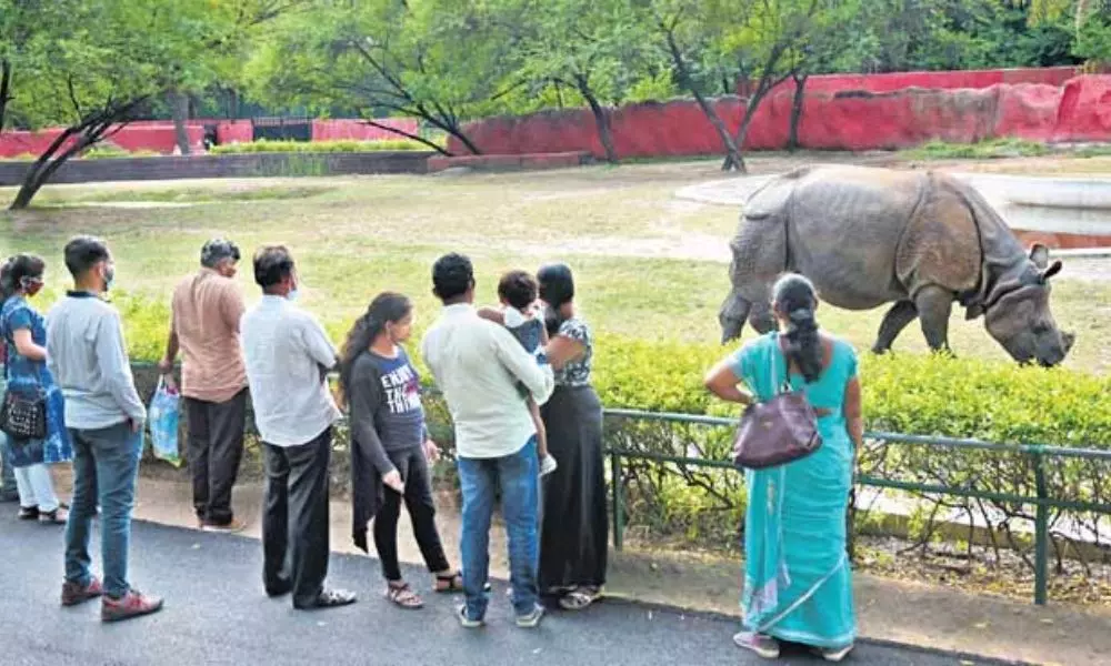 Telangana Government Green Signal to Open Zoo Parks