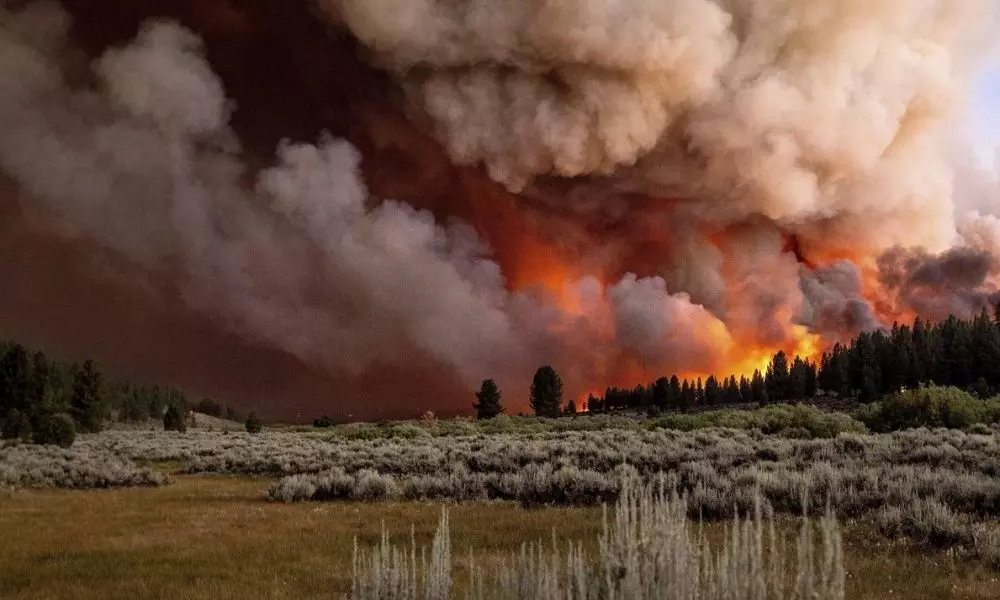 Northern California Forest Wildfire Grows 20,000 Acres and Destroys Few Homes | Current fires in California
