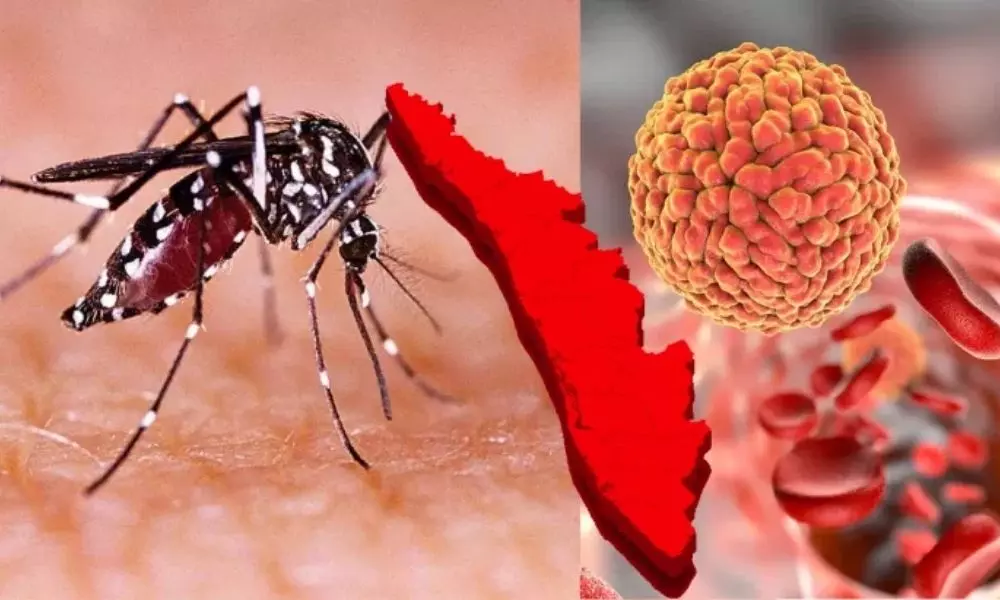 Zika Virus Spreads Slowly in Kerala State