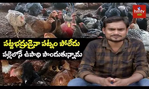 Desi Hen Farming BY Young Farmer Raju
