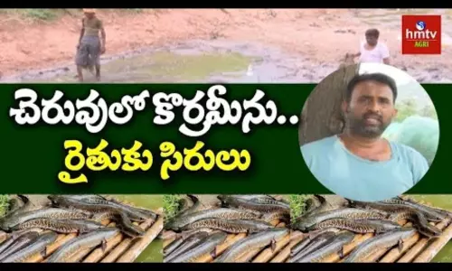 Korameenu Fish Farming, Ponugoti Kannaravu Success Story Korameenu Fish Farming, Ponugoti Kannaravu Success Story