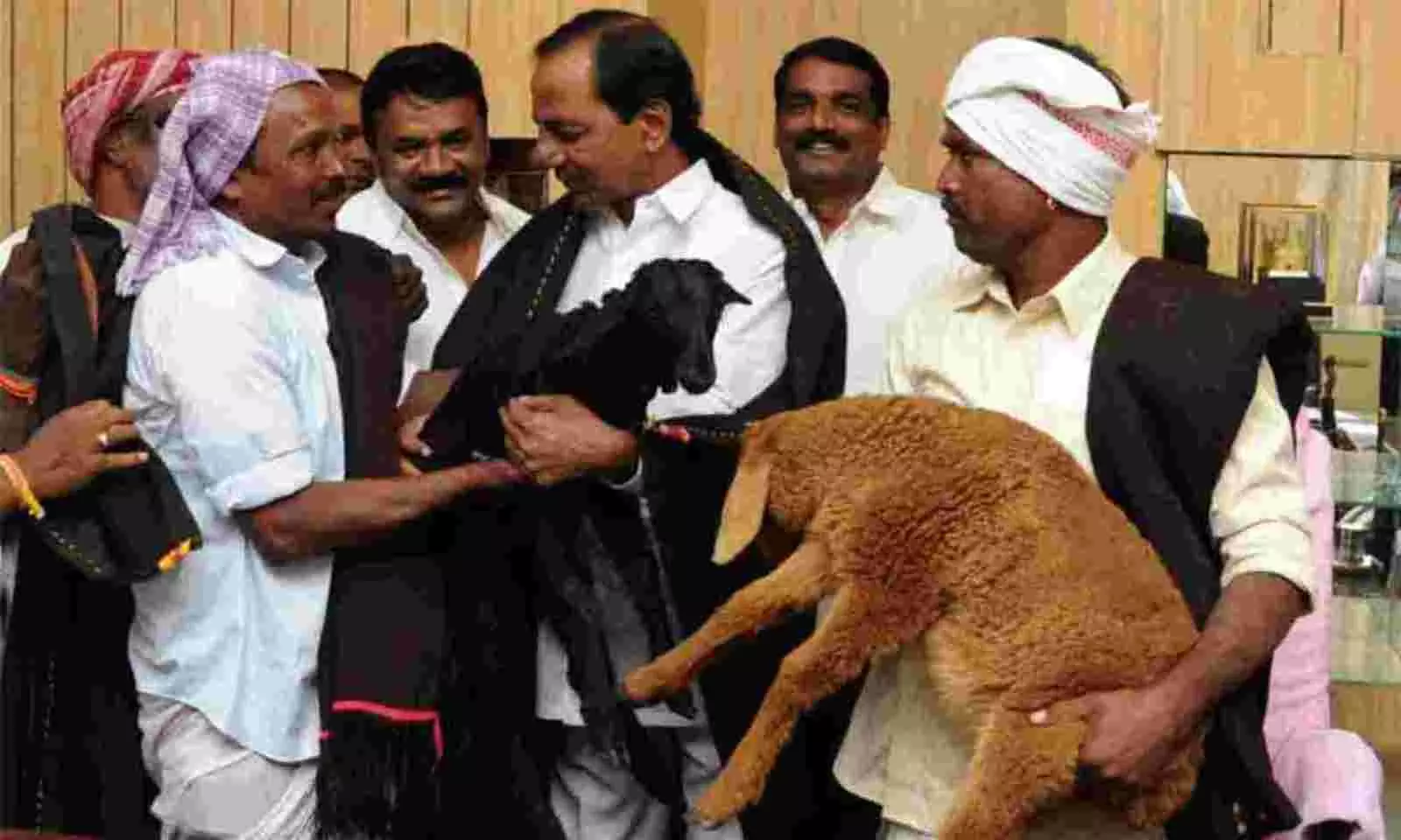 Second Phase Sheep Distribution Soon in Telangana
