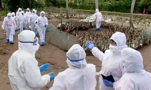 First Bird Flu case in India