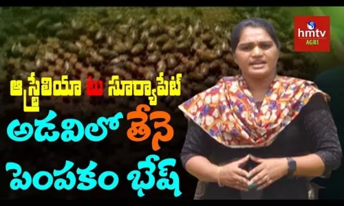 Organic Honey Bee Farming Woman Farmer Success Story Organic Honey Bee Farming Woman Farmer Success Story