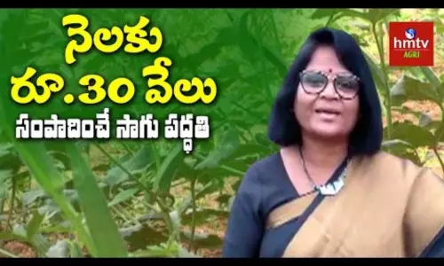 Seven Layer Method Cultivation BY SRACO Organization Seven Layer Method Cultivation BY SRACO Organization