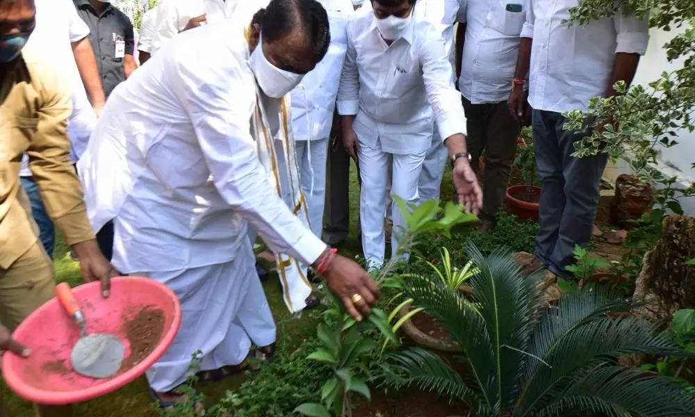 Speaker Pocharam Srinivas Reddy Plant Sapling at Assembly