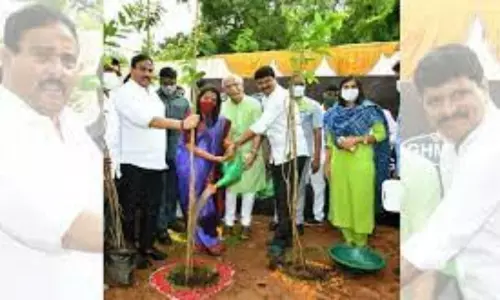 Mukkoti Vruksharchana in Warangal on the Occasion of Minister KTR Birthday Mukkoti Vruksharchana in Warangal on the Occasion of Minister KTR Birthday