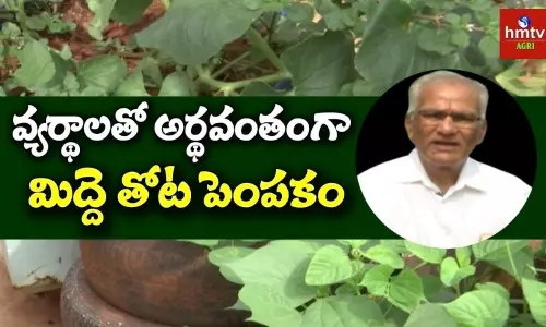 Terrace Gardening by Sathyanarayana