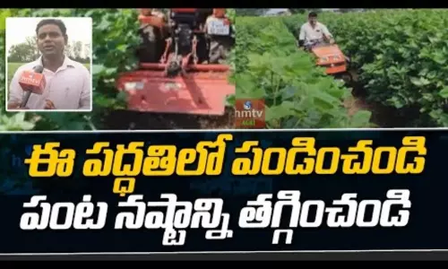 Raised Bed Farming Tips BY Adilabad Krishi Vigyan Kendra Raised Bed Farming Tips BY Adilabad Krishi Vigyan Kendra