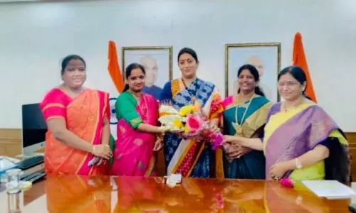 AP YCP MPs Meet Central Minister Smriti Irani