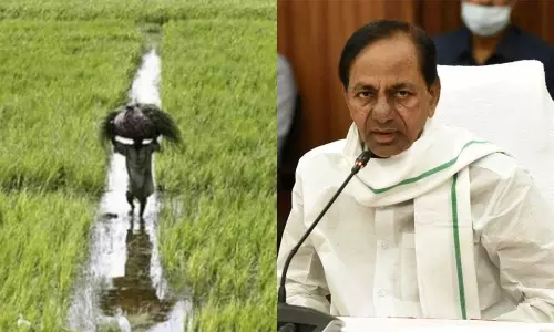 Cabinet Key Decision on Farmers Debt Forgive