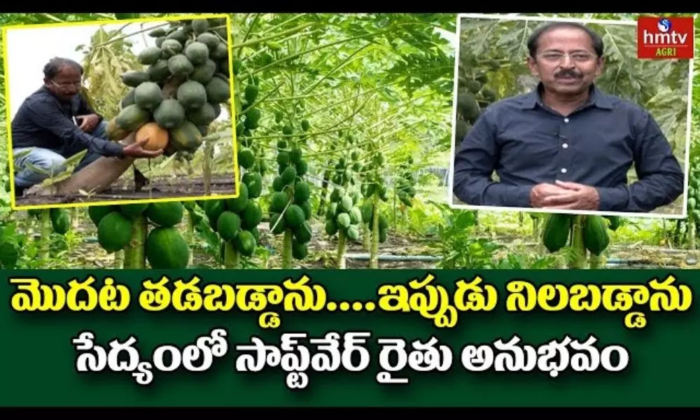 Organic Farming: Vijay Kumar, Software Engineer Turns Farmer