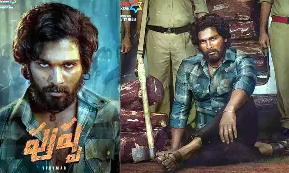 Allu Arjun Pushpa Movie Part 1 to Release on Christmas 2021