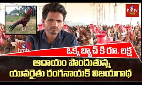 Natu Kolla Pempakam by Young Farmer Ranga Naik