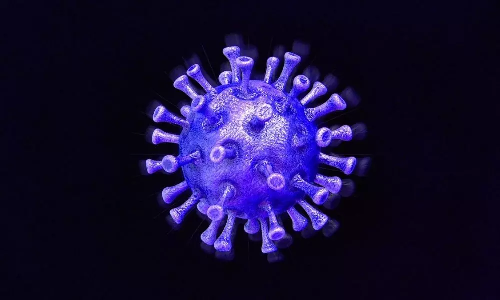 Karnataka Confirms a Case of Eta Variant of Coronavirus