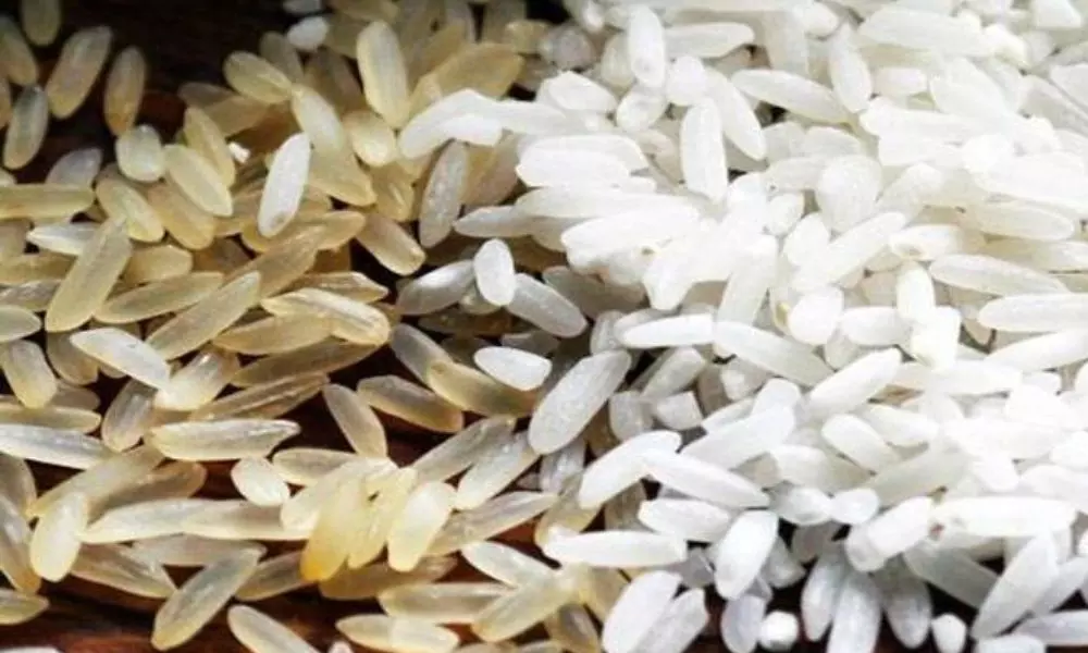 Plastic Rice Founded in Nellore District