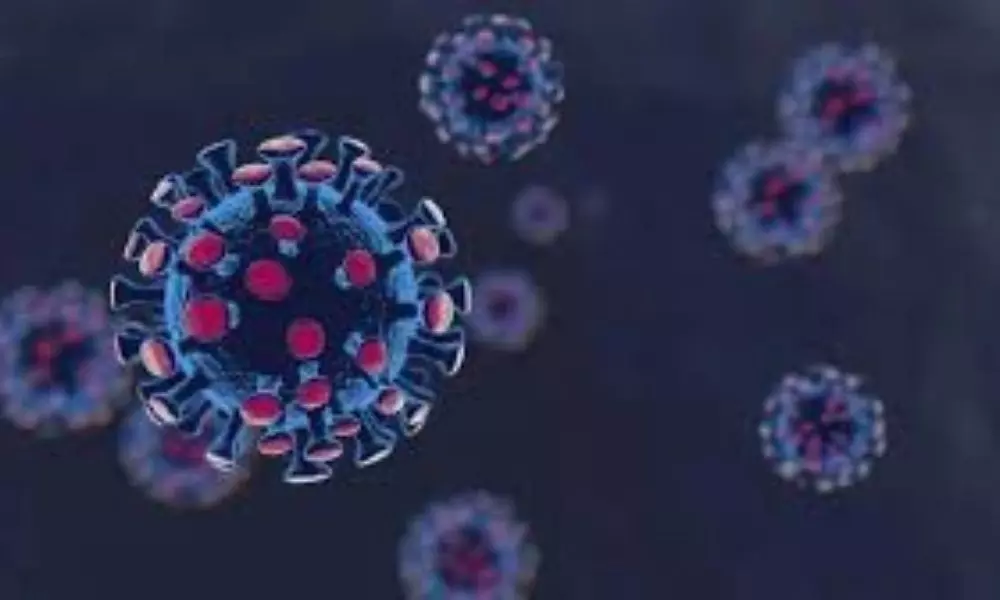 38,353 New Coronavirus Reported in India Today 11 08 2021