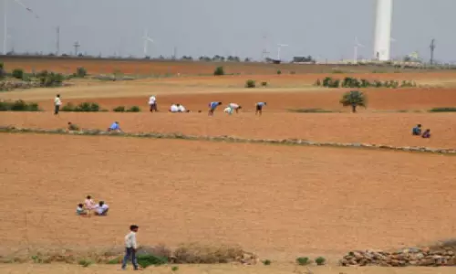 People Searching For Diamonds in Kurnool District People Searching For Diamonds in Kurnool District