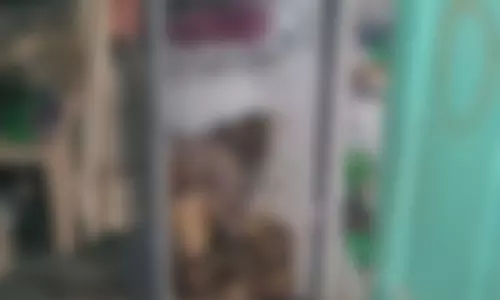 Grandson put his Grandfather Dead Body in the Fridge Grandson put his Grandfather Dead Body in the Fridge